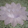 Floare de lotus2