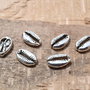 Charm link scoica cowrie ,argintiu antichizat, 19x12mm (SALAK 232)