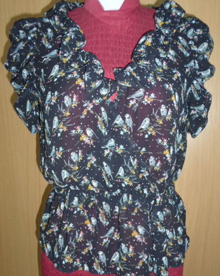 bluza summer bird