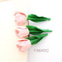 Lalele roz prafuit - brose
