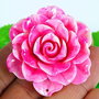 8035 - Pandantiv, scoica tridacna, vopsita, fuchsia-alb, 50x45x17mm