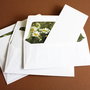 Card blank + plic