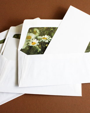 Card blank + plic