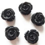 LMR15 - floare rasina neagra