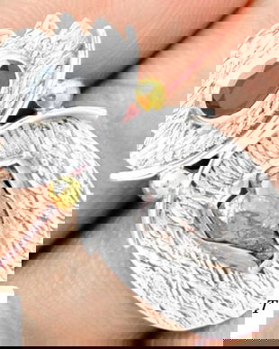 Ag006 - Pandantiv, argint 925, meteorit Campo del Cielo brut / neprelucrat, onix fatetat