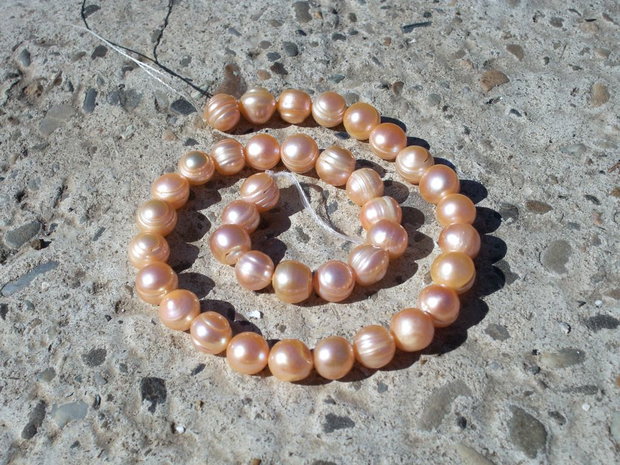 Perle de cultura roz somon