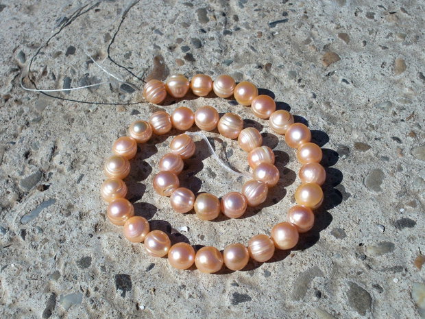 Perle de cultura roz somon