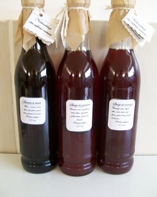 SIROP DE MURE SI ARONIA- nou
