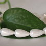 Perle seashell 8x15mm (1)