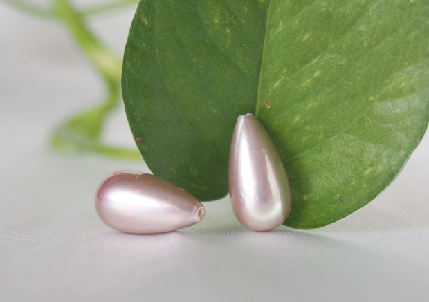 Perle seashell 8x16mm, semigaurite (1)