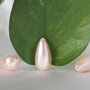 Perle seashell 8x16mm, semigaurite (1)