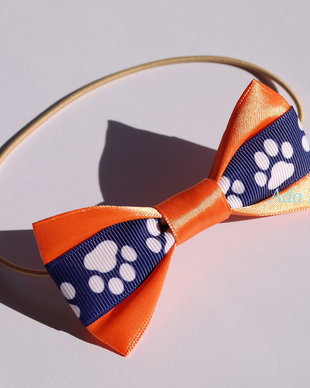 Papion pentru catei-orange cu labute albe