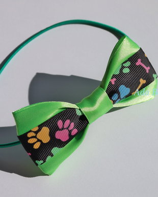 Papion pentru catei-verde crud cu labute