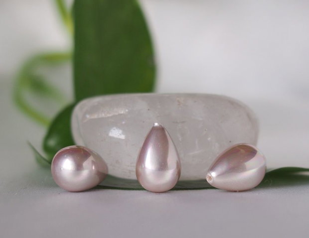 Perle seashell 8x11mm, semigaurite (1)