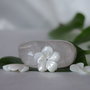 Sidef 15mm (1)