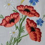 Broderie pt aplicatii