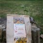 Ceai de galbenele flori intregi, cultivate ecologic