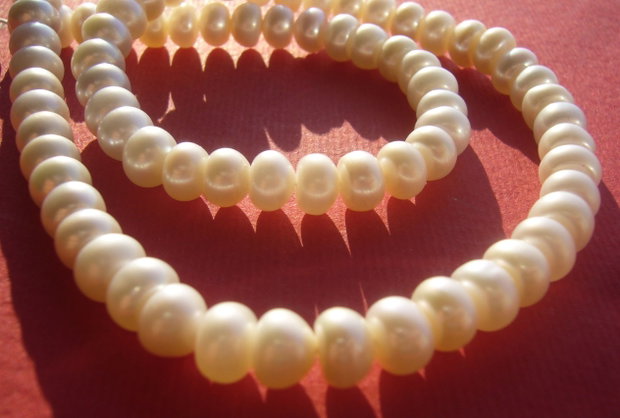 Perle de cultura albe rondele aprox 7x4-5 mm
