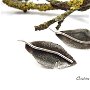 REZERVAT - Cercei frunza cu tija, din argint 925 reticulat si partial oxidat
