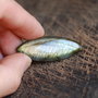 Cabochon Labradorit Marquise -  flashy - NLMB24