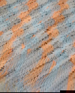 Patura crosetata -adulti