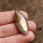 Cabochon Labradorit Marquise - flashy