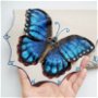 poseta plic handmade unicat din piele - Morpho Butterfly
