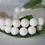 Coral 10mm (1)