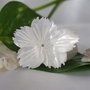 Sidef 20-40mm (1)