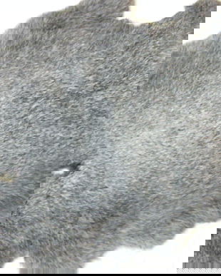 Blanita de iepure tabacita