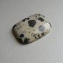 Caboson jasp dalmatian