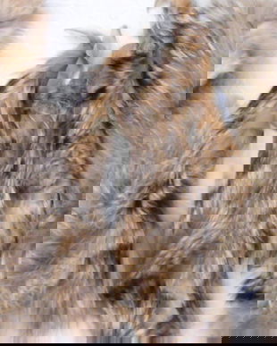 7 buc-Blana naturala fasii