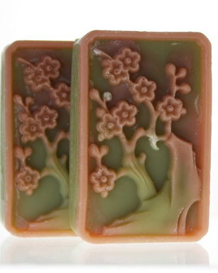 Aloe-sapun cu gel nativ de aloe si ulei de neem