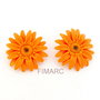 ''Gerbera''- brosa