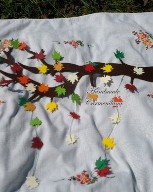 Decoratiune pavoazare clasa