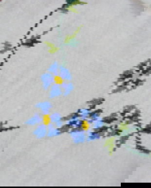 Mileu de in cu albastrele