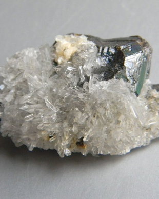 Specimen - cuart (Q7)