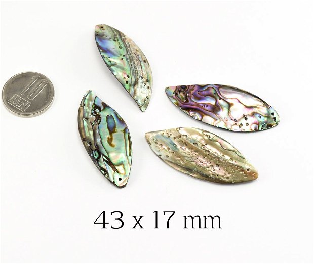 Pandant Abalone shell, 43 x 17 mm