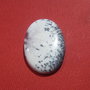 Cabochon opal dendritic aprox 4x21x32 mm