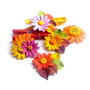 Brose de toamna