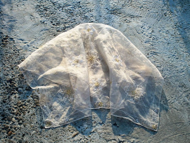 Organza brodata