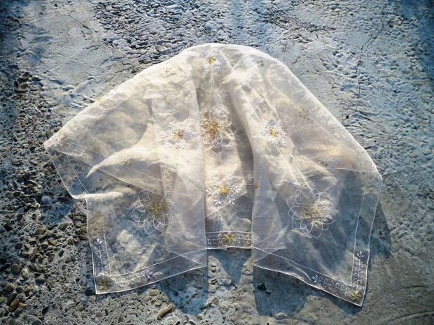 Organza brodata