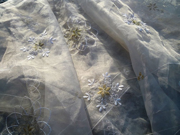 Organza brodata