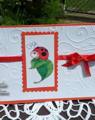 Invitatie buburuza