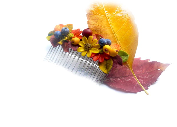 Pieptene cu fructe, frunze si flori