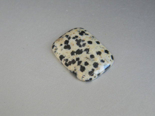 Caboson jasp dalmatian