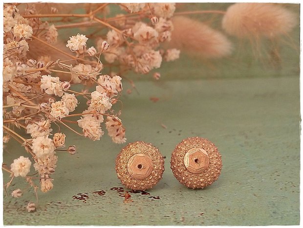 Cercei Baby Sea Urchins