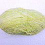 05- Fir blanita - Eeyor - cod 05