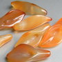Agate - floare de cala