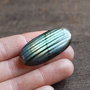 Cabochon labradorit cu straluciri dungate - Forma ovala alungita - LDO